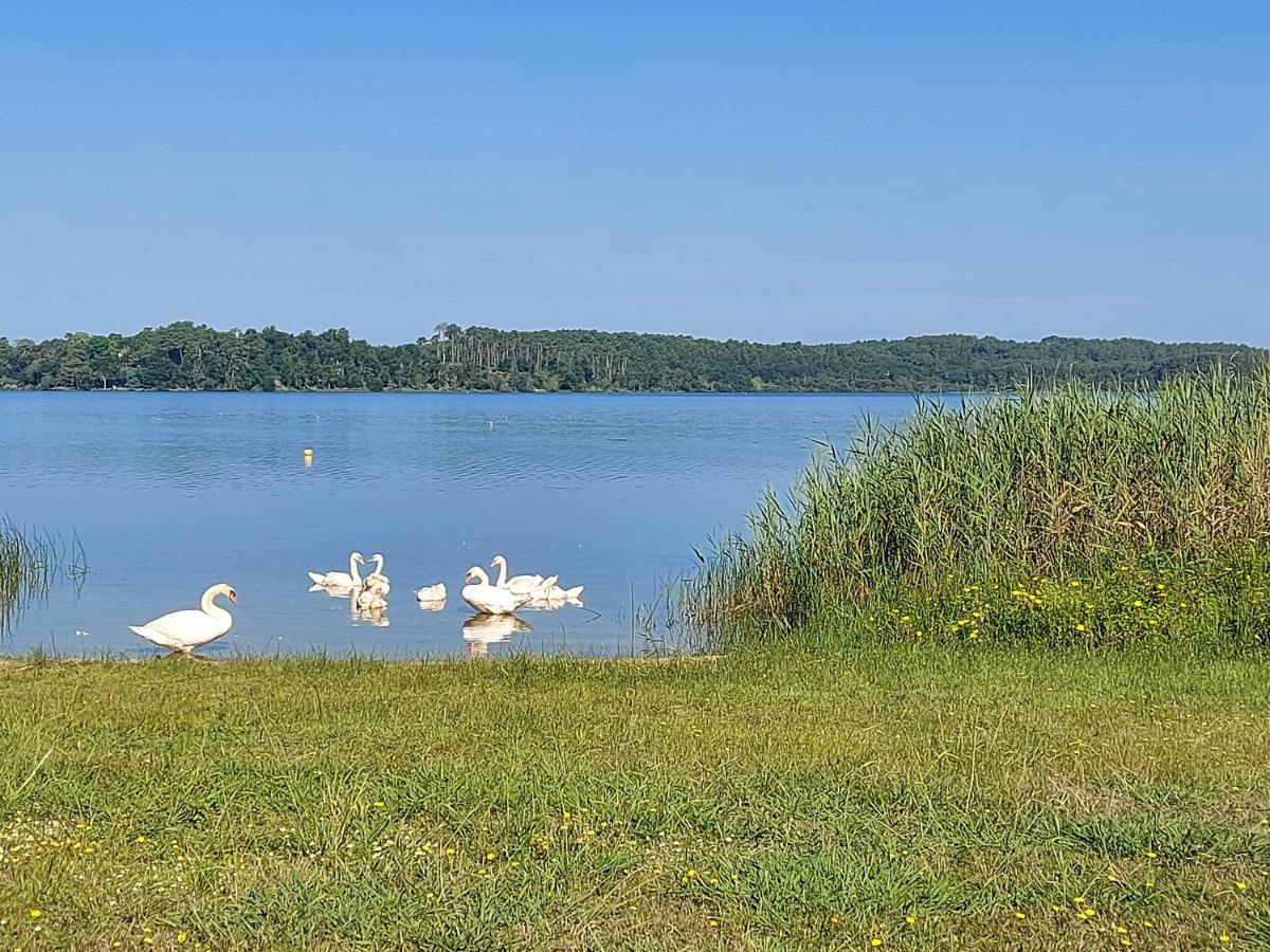 T2, 50M Du Lac, Piscine, Wifi, Jardin Terrasse Sans Vis-A-Vis, 1 A 4 Pers Aureilhan  Exteriér fotografie