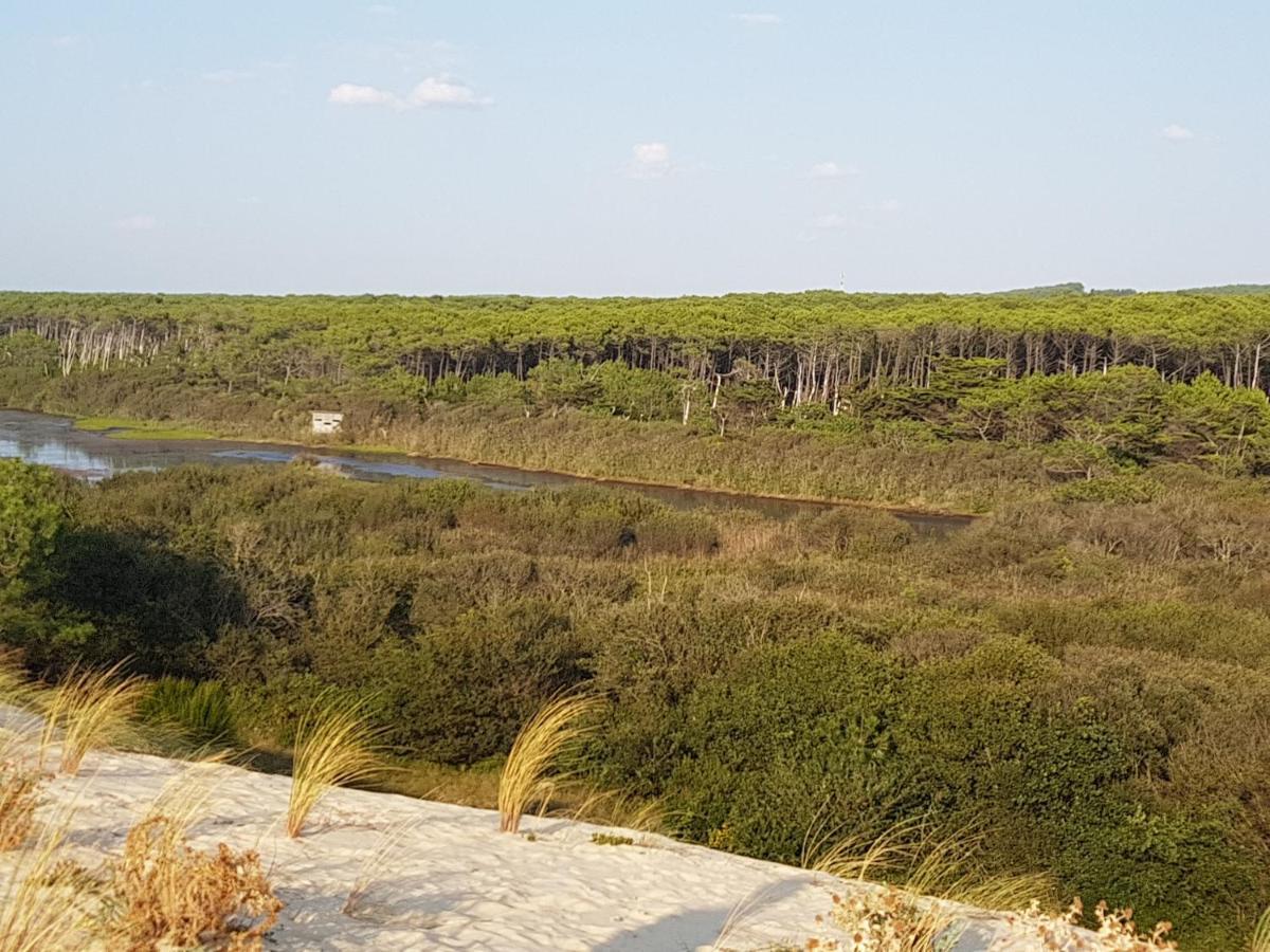 T2, 50M Du Lac, Piscine, Wifi, Jardin Terrasse Sans Vis-A-Vis, 1 A 4 Pers Aureilhan  Exteriér fotografie